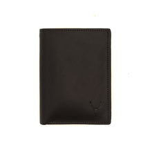 Noble (3 Colors)